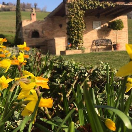 Casale Delle Rondini Bed & Breakfast Толентино Екстериор снимка