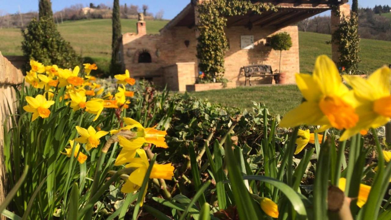 Casale Delle Rondini Bed & Breakfast Толентино Екстериор снимка