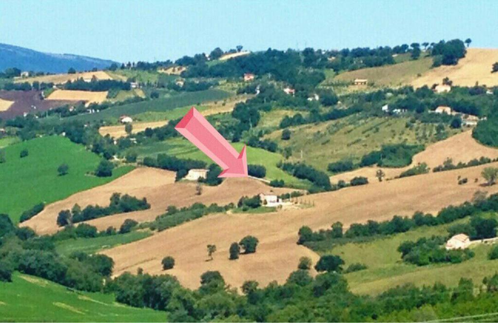 Casale Delle Rondini Bed & Breakfast Толентино Екстериор снимка