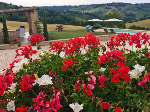 Casale Delle Rondini Bed & Breakfast Толентино Екстериор снимка