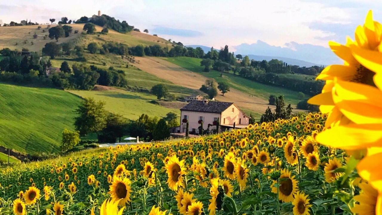 Casale Delle Rondini Bed & Breakfast Толентино Екстериор снимка