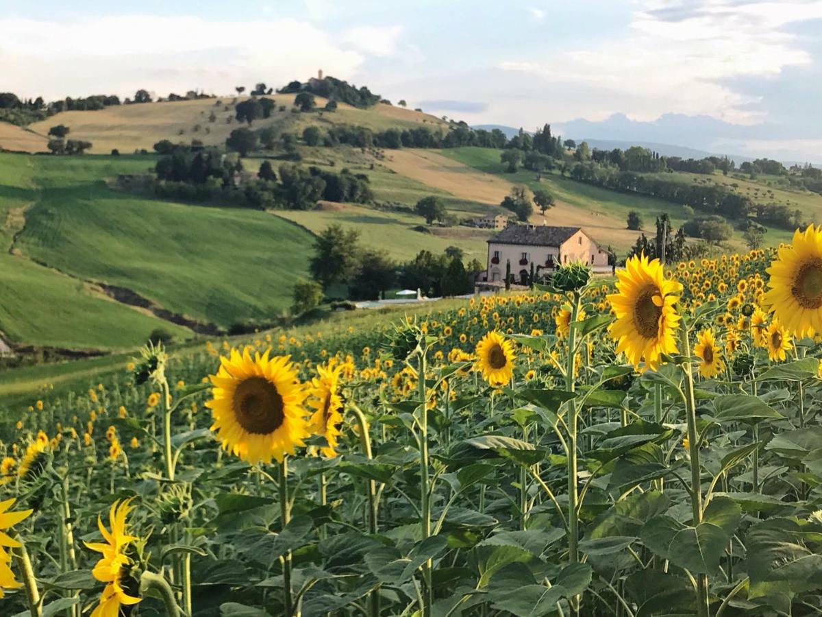 Casale Delle Rondini Bed & Breakfast Толентино Екстериор снимка