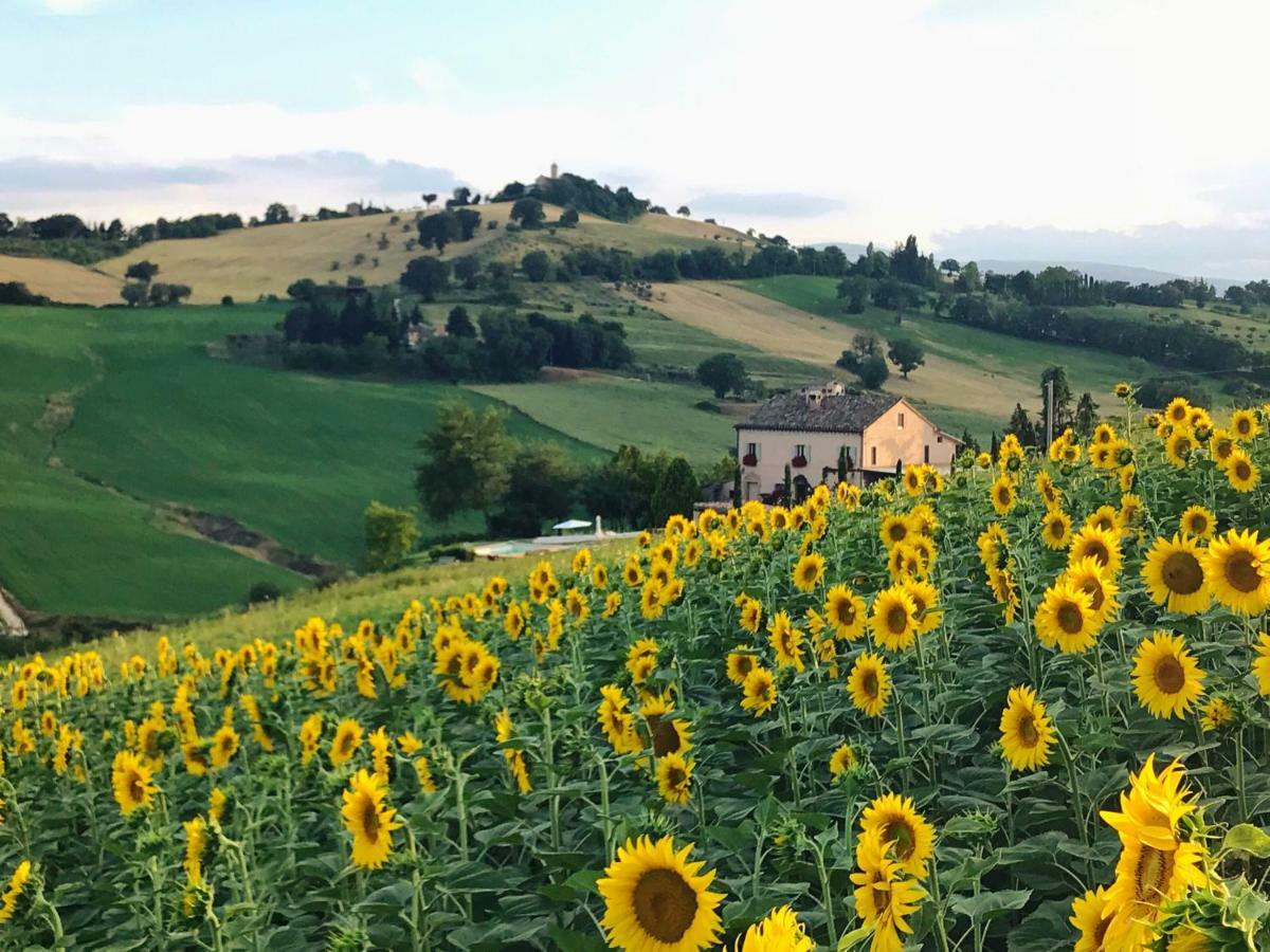 Casale Delle Rondini Bed & Breakfast Толентино Екстериор снимка